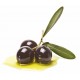 Shower Gel Olive